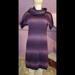 Athleta Women Space Dye Zuni  Purple Sweater Dress